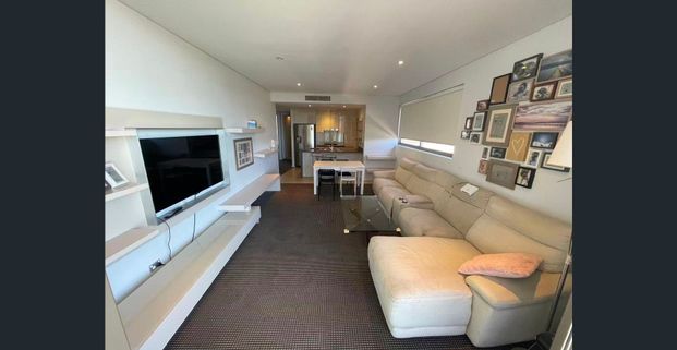"One full furnished bright 2 Bedroom 2 Bath Apartment in A SHOPPING FRIENDLY LOCATION in Zetland. - Photo 1