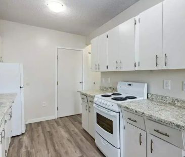 2 Bedroom - Photo 4
