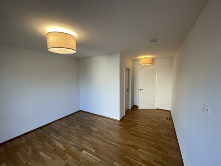 Traumwohnung mit Rheinblick - Foto 4