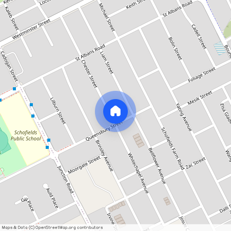 55 Chester Street, NSW 2762, Schofields