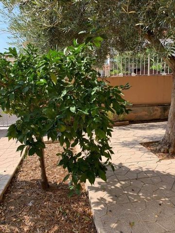 Casa o chalet de alquiler en Fragata, 42, Torre de la Horadada - Photo 2