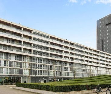Professor de Moorplein 0ong, 5037 AR Tilburg, Nederland - Photo 1