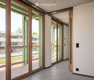 Suchen Sie eine neue Wohnung in Stein AG - Foto 5