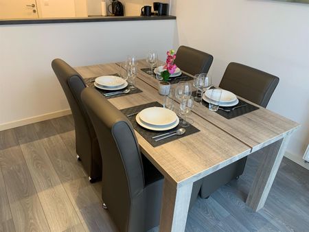 LICHTRIJK Gemeubileerd 2 slaapkamer appartement met terras - Foto 4