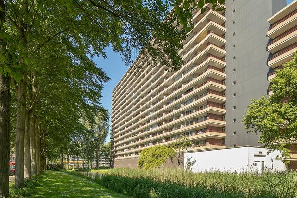 Te huur: Appartement Arthur van Schendelplein 138 in Delft - Photo 1