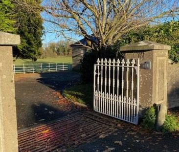 The Lodge, Painestown, Kill. - Photo 3