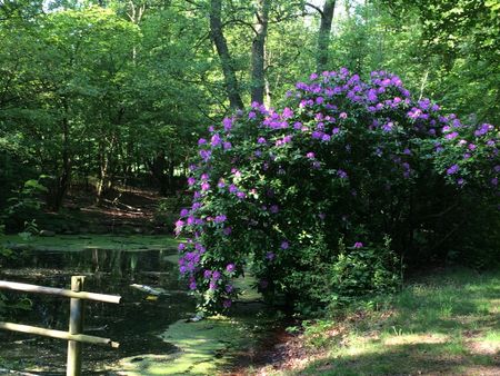 Höstgatan 25 - Foto 5