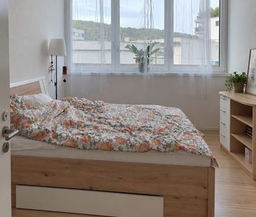 1 Zimmer, 91 m², EG - Foto 3
