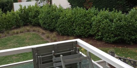 Appartement te huur in Hasselt voor € 845 met 1 slaapkamer - Photo 2