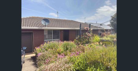 Quiet, Low Maintenance Living - Photo 4