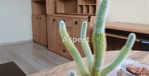 Centrum, Rybnik, - Фото 1