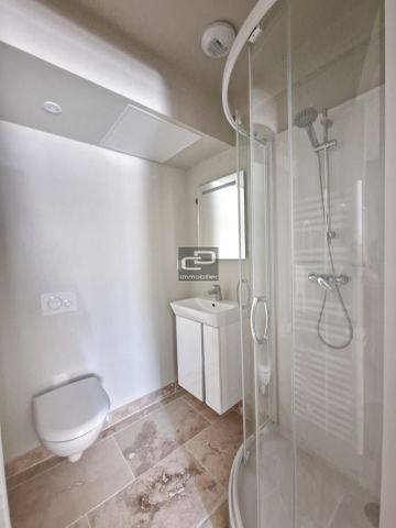 Location Appartement 1 pièce 13m² COUZON AU MONT D OR 69270 - Photo 3