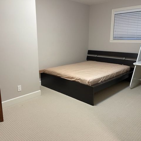 Lovely, Large Studio in the Area of Elgin's Forest Ridge - Photo 1