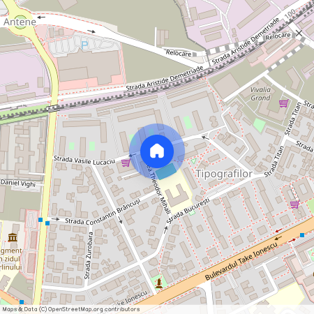 Timis, Timisoara
