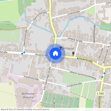 76756 Rheinland-Pfalz - Bellheim