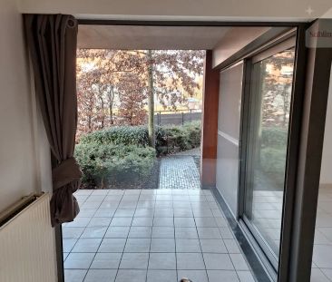 Gelijkvloers appartement met 2 slaapkamers in het rustige Balen - Foto 5