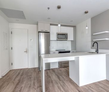 1250 Avenue Thérèse-Lavoie-Roux, Montréal, QC - Photo 3