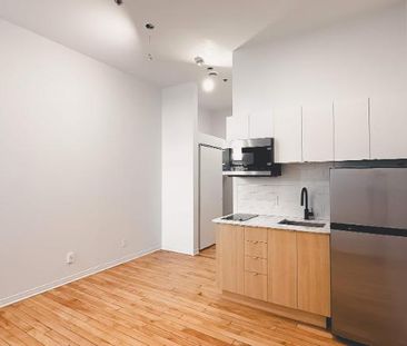 1 CH - 1 SDB - Montréal - $1,195 /mo - Photo 3