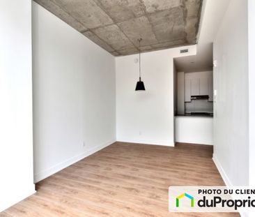 468 rue Saint-Grégoire - Studio, Le Plateau-Mont-Royal à louer - Photo 3