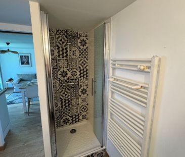 Location appartement 1 pièce, 26.77m², Poisy - Photo 4