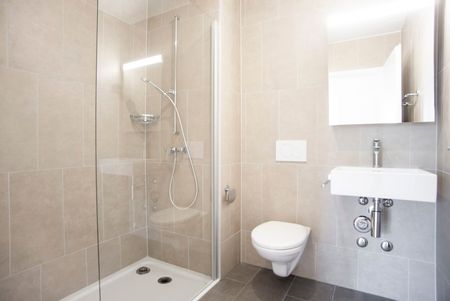 LE TICLE : Appartements neufs à louer - Photo 5