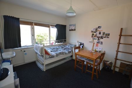 Te huur: Kamer Korenbloemstraat 89 4 in Zwolle - Foto 3