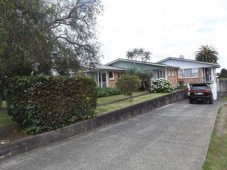 Charming 2BR Unit in Papakura - Photo 5