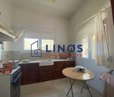 Μονοκατοικία για ενοικίαση Πέρδικα (Αίγινα) - Φωτογραφία 5