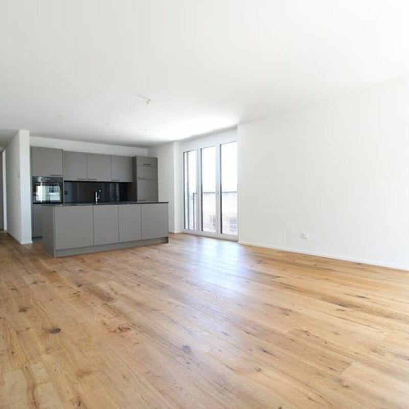 Open, bright, modern – that’s how you live today – Ziegelei-Quartier - Photo 1