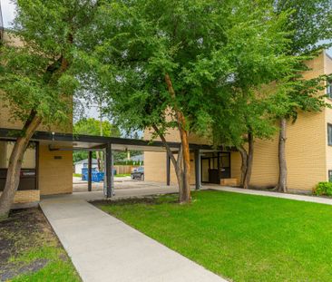 Lady Dale & Lady Robin - Photo 1