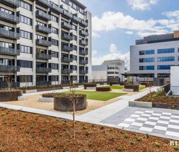 One Bedroom Apartment Moments Away From Woden Center - Photo 6