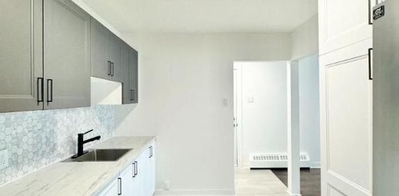 1 CH - 1 SDB - Montréal - $1,400 /mo - Photo 2