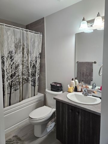 For Lease - 62 Dryden Lane, Hamilton, Ontario - Photo 4