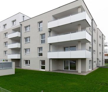 HOLLABRUNN XV/1 - Photo 4