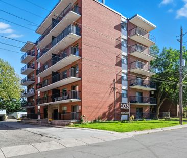 For Lease - 103 Emerald Street, Hamilton, Ontario - Photo 6