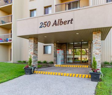 Albert Terrace Apartments - ALL INCLUSIVE - Photo 6