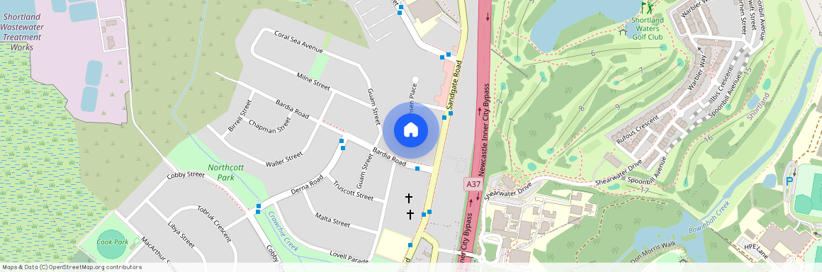 2a Hansen Place, NSW 2307, Shortland