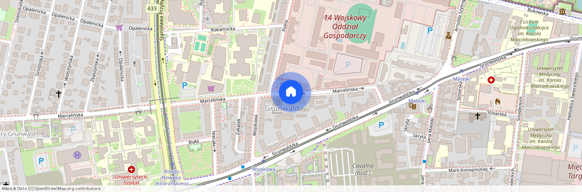 Grunwald, Grunwald, Poznań, wielkopolskie