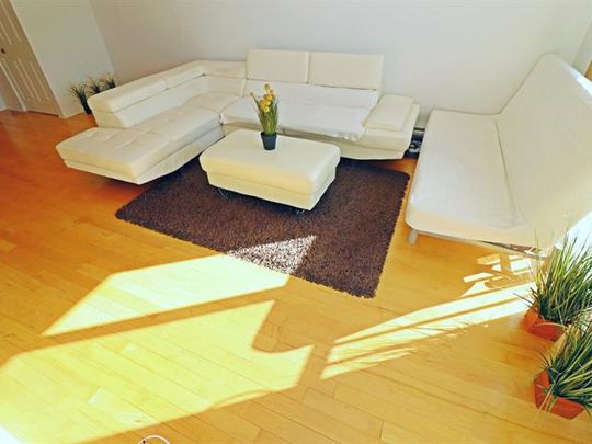 1740 Av. Papineau - Photo 1