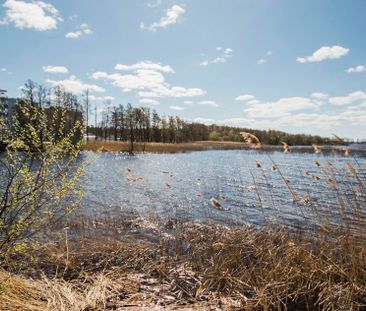 Pyntvägen 9, Bromölla - Photo 4