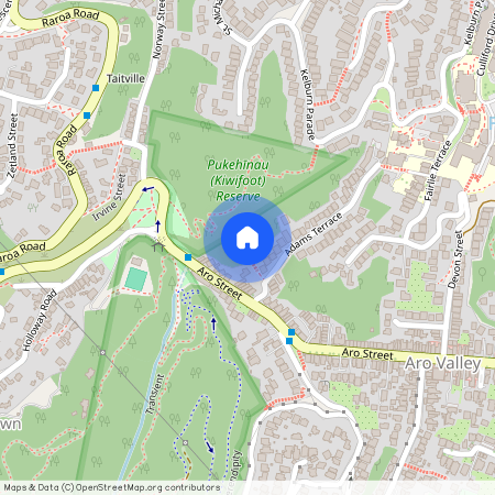 6A Semeloff Terrace, Aro Valley, Wellington