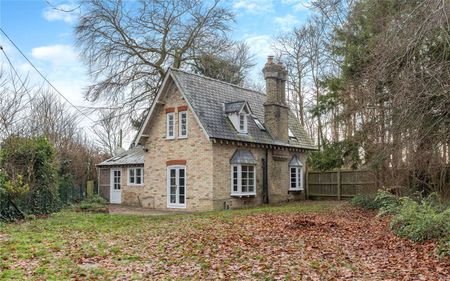 Cosy cottage situated in the popular village of Thriplow - Photo 5