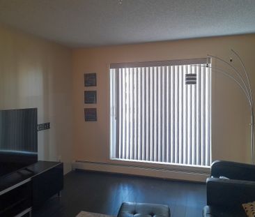 1 Bed Apartment | Schonsee Edmonton | Gas & Water Included - Photo 5