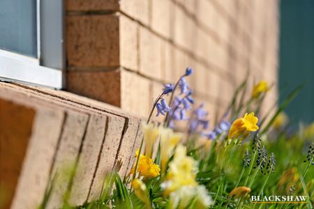 40 Vagabond Crescent, McKellar ACT 2617 - House For Rent | Domain - Photo 3