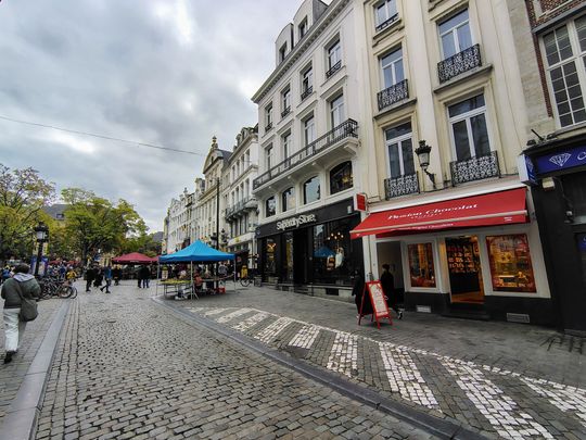 Rue d'une Personne, 1000, Brussel - Photo 1