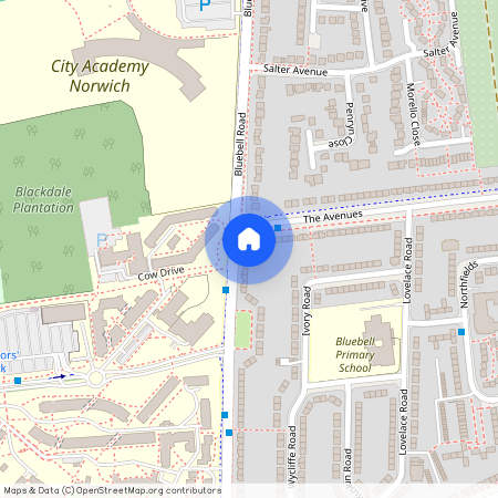 216 Bluebell Road, Norwich