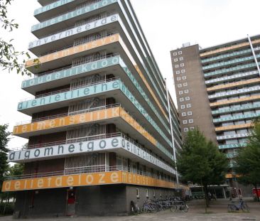 Appartement Dirk Costerplein, Delft-Voorhof - À louer - Photo 4