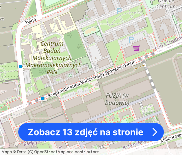 Dwupoziomowy loft w kompleksie U Scheiblera - Zdjęcie 1