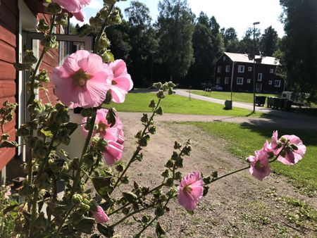 Björkbyn: Nyrenoverad tvåa en trappa upp - Foto 2