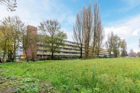 Apartment Amstelveen - William Boothlaan - Photo 3